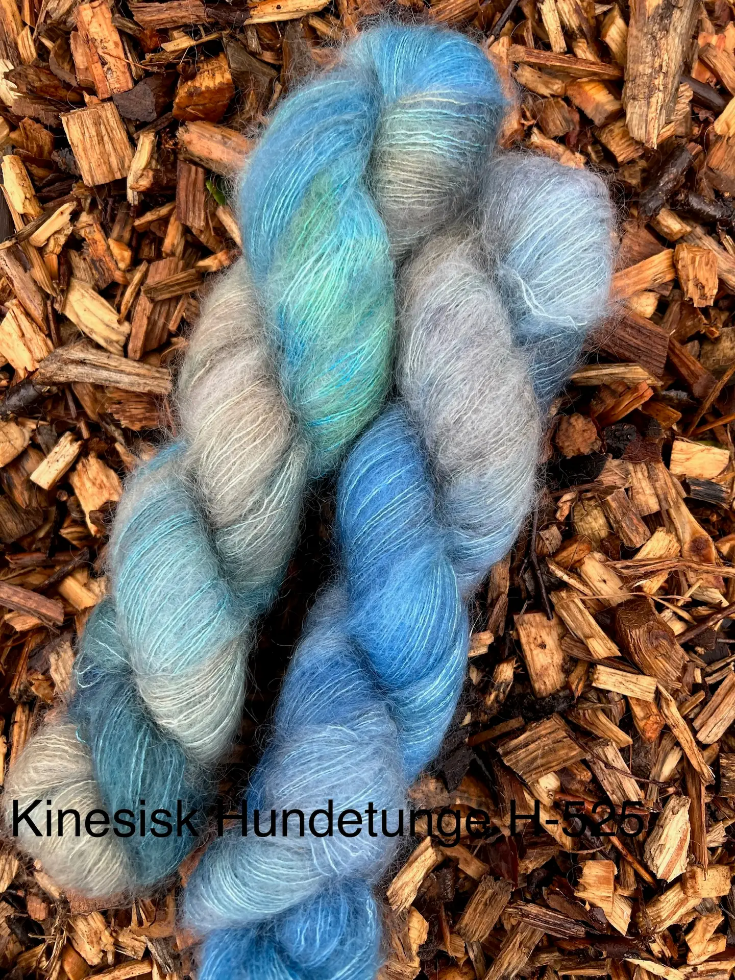 Kinesisk hundetunge