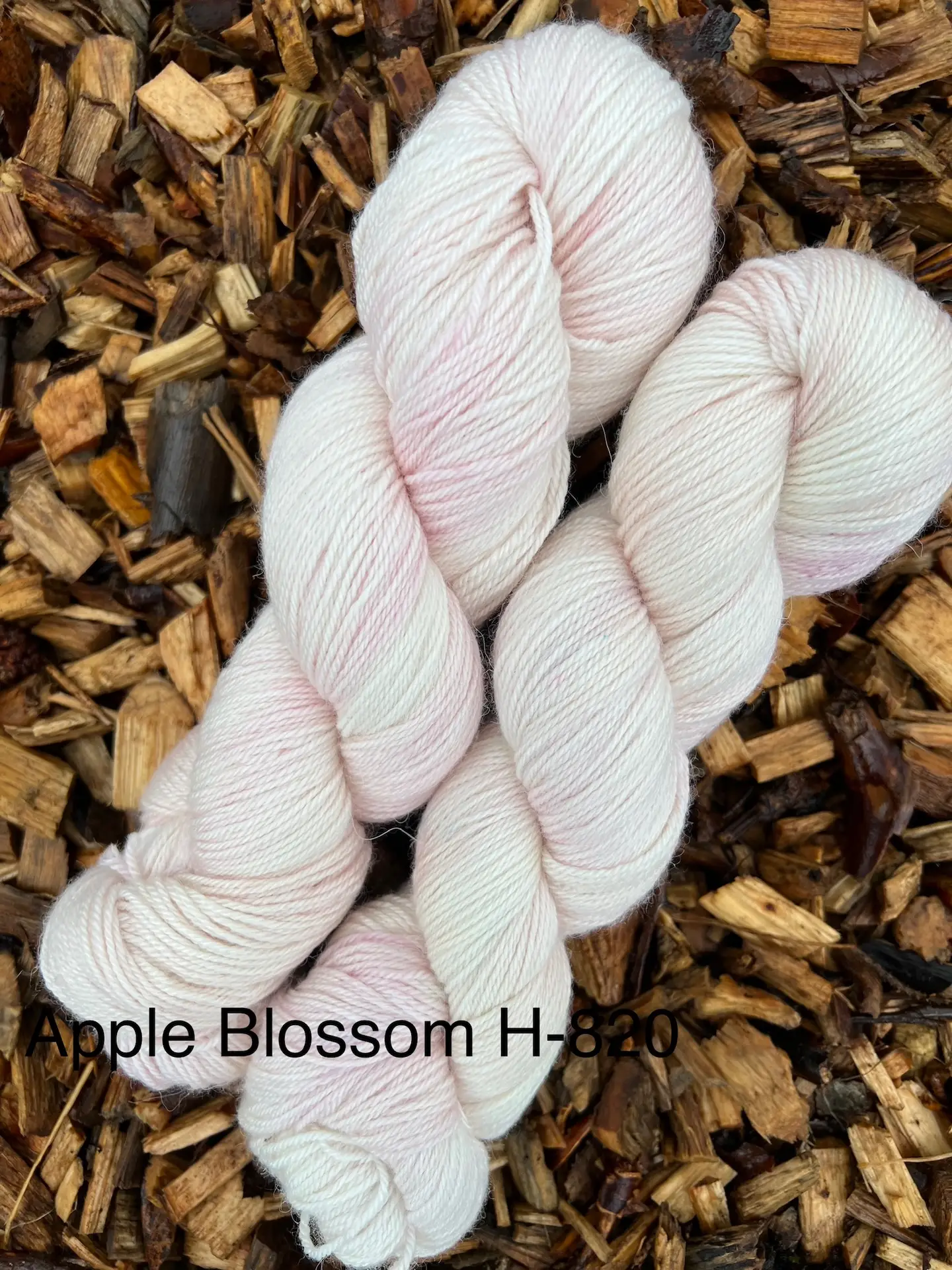 Apple Blossom