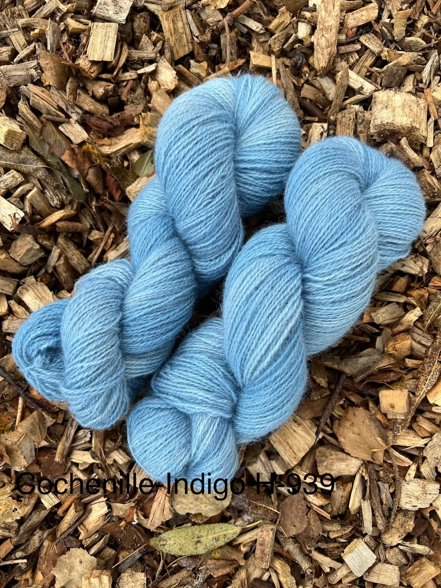 019a74ee2f98d9494ebf1907128b2ef70a62c7ae35 Cochenille-Indigo