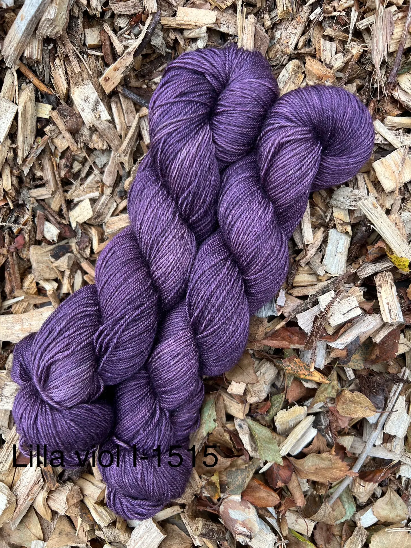 Lilla Viol
