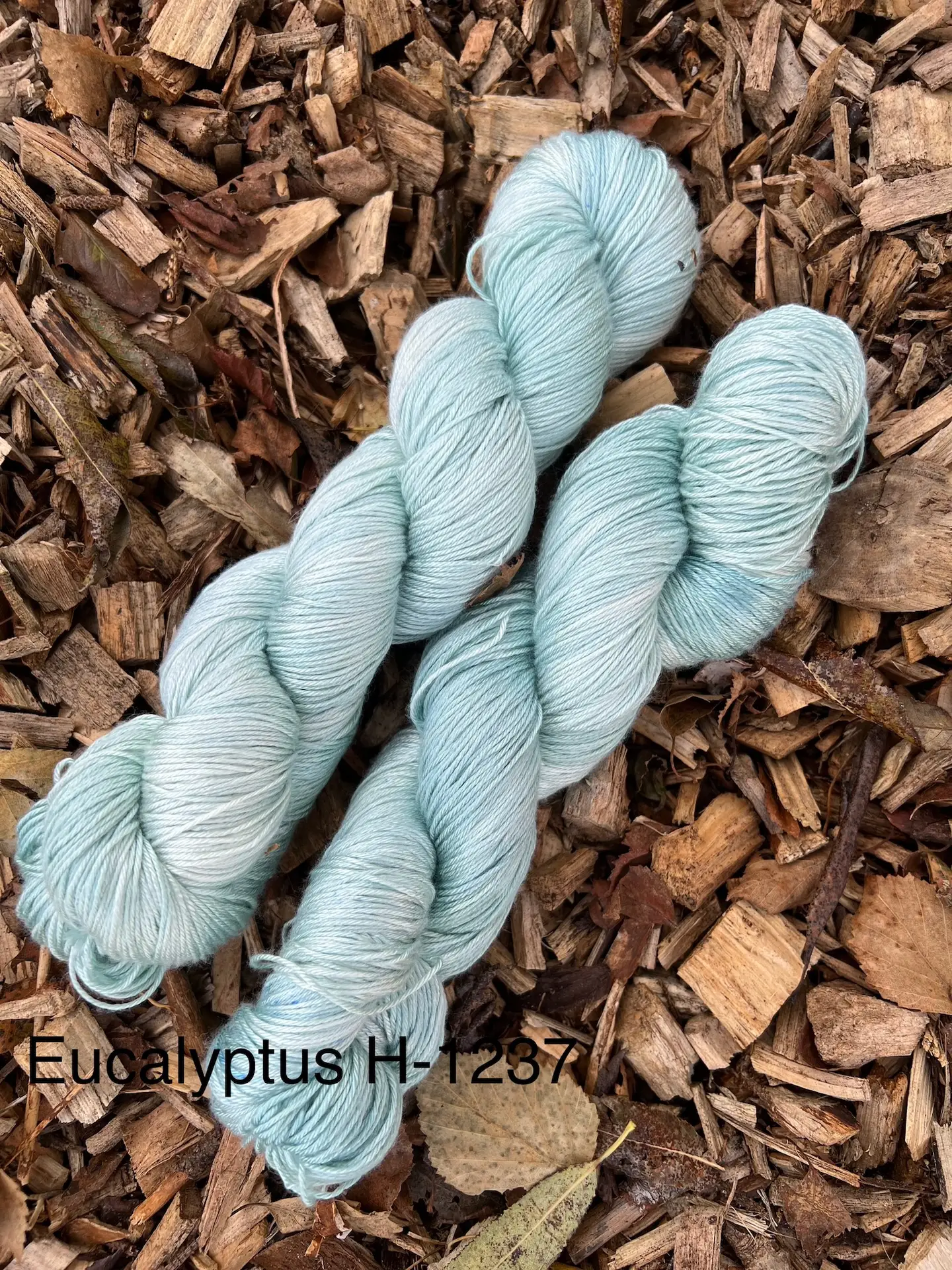 Eucalyptus