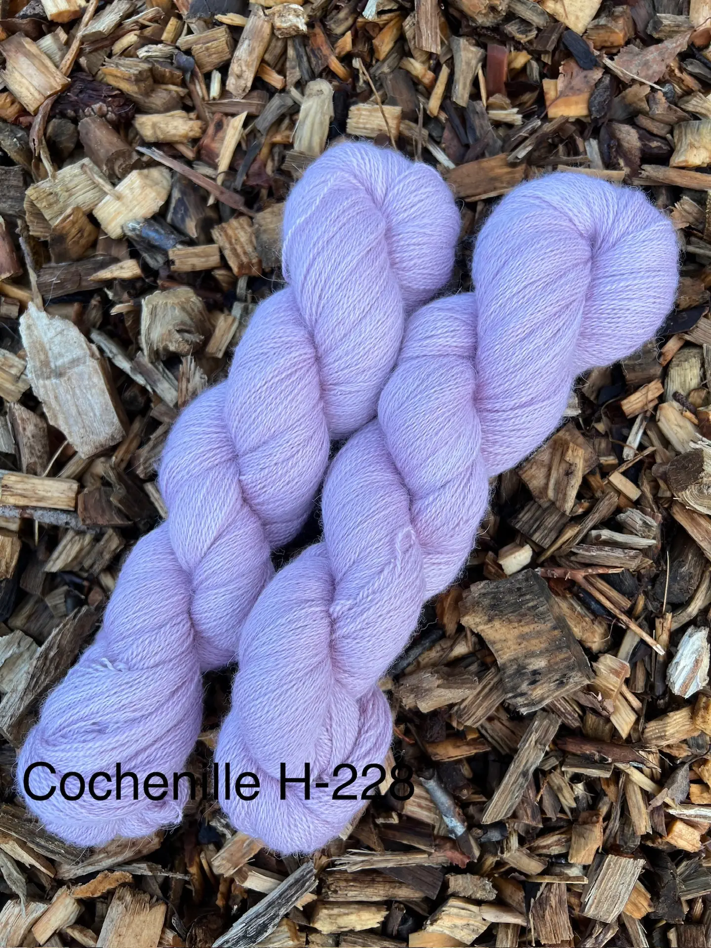 Cochenille
