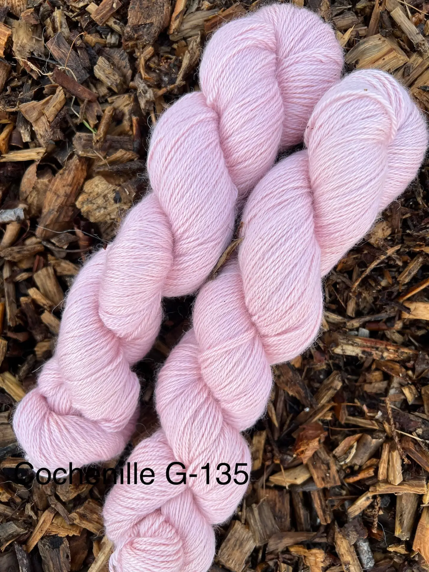 0134e901001beccd91cd589592a42bdeb5b9e22b59 Cochenille