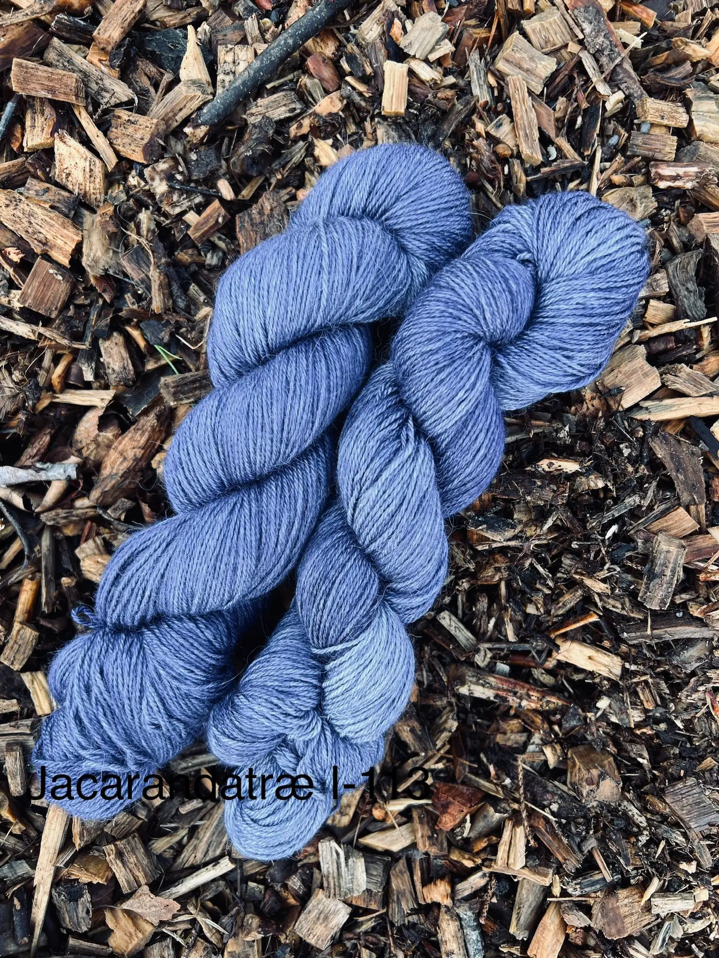 0144cb4533e4f99bd6ac20d096cc27fce49937fd2e Jacarandatræ