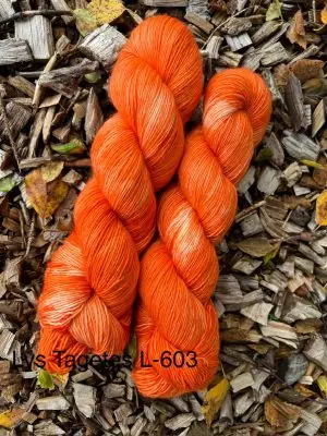 Lys Tagetes
