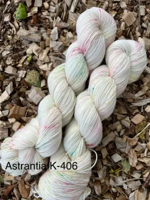 Astrantia