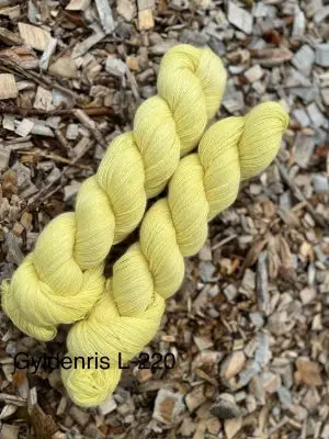 Gyldenris