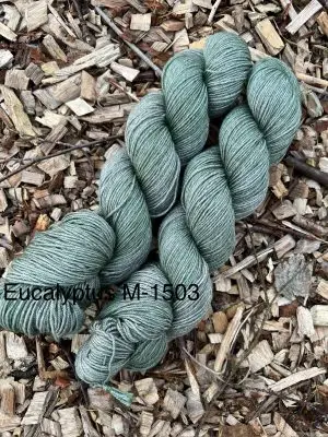 Eucalyptus