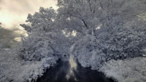 IR Fotografie