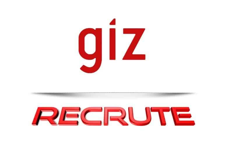 la-giz-recrute