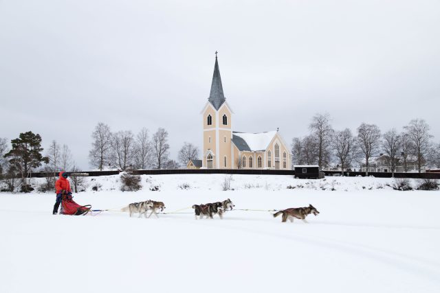 Hundspann framför kyrkan