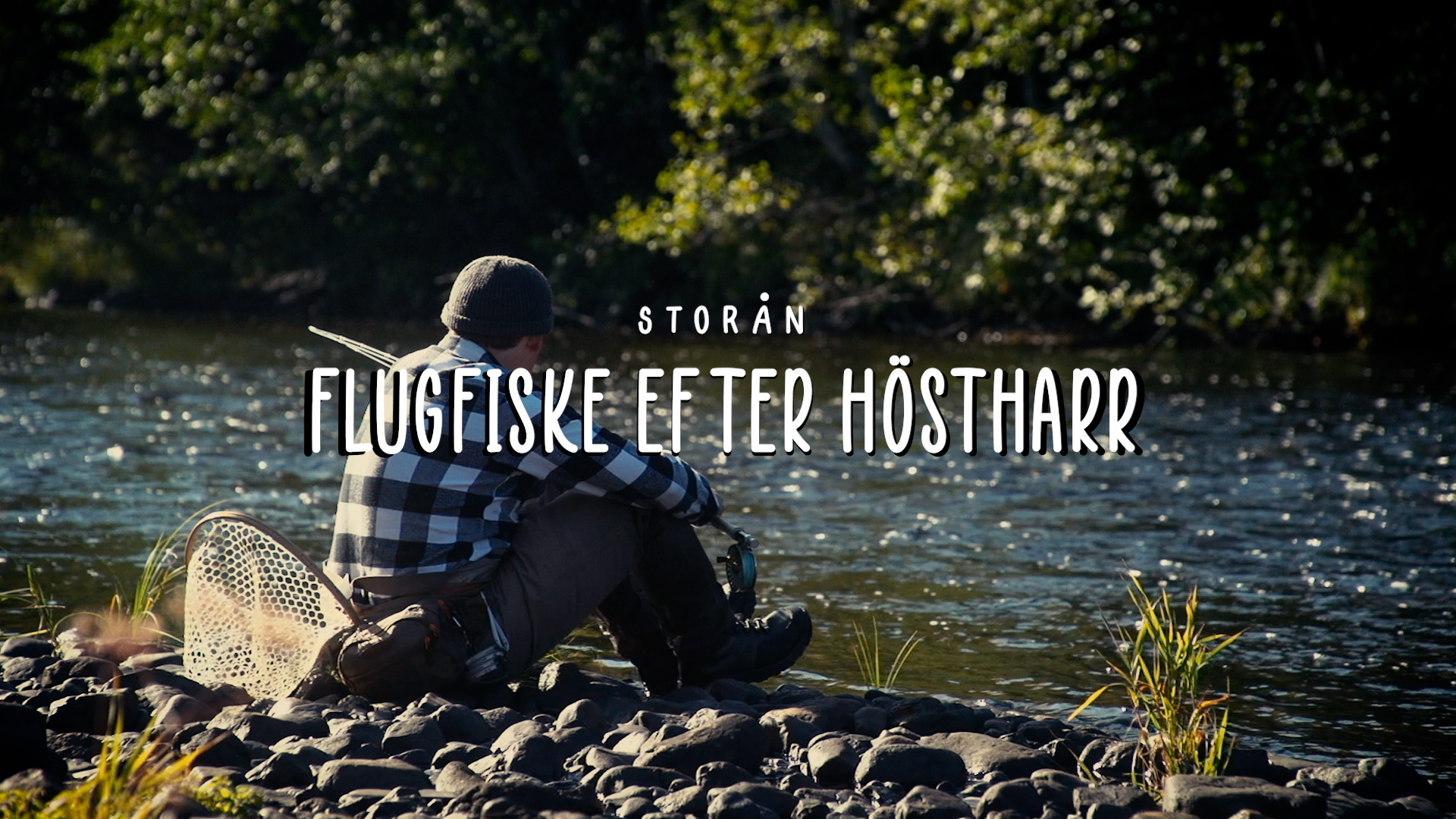 Höstharr i Storån