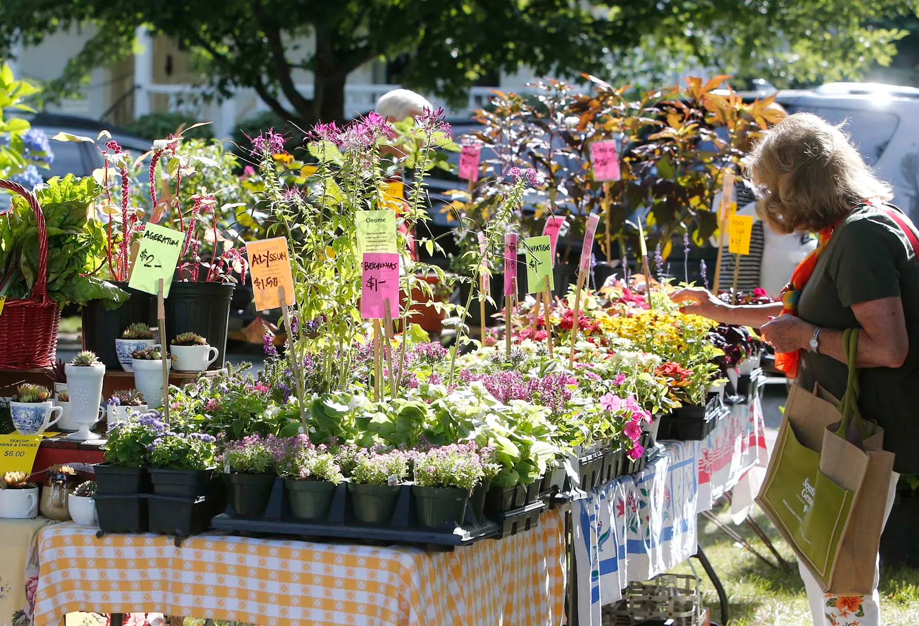 bd6dd5c5-53e5-4e58-8917-1b8a02043643-hudson_market02
