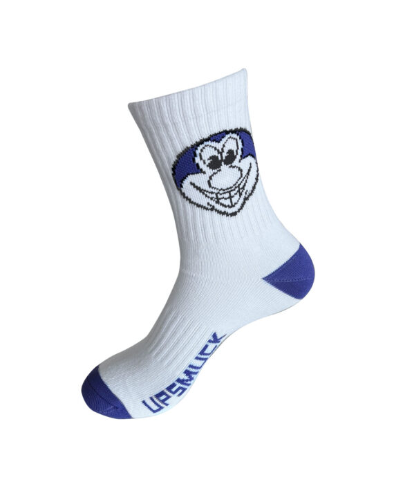 purno_sock_main