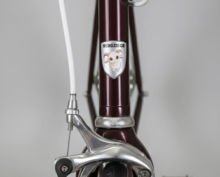 Custom Headbadge retro bicycle