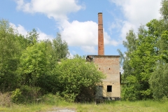 Savværket langt ude i skoven (Danmark)