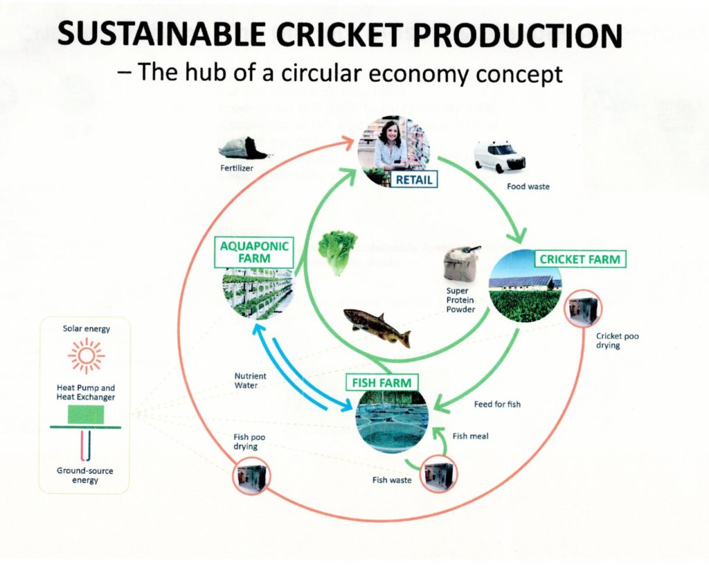 Substainable cricket production