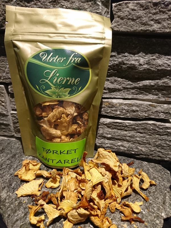 GUL KANTARELL (Cantharellus cibarius) - Bilde 3