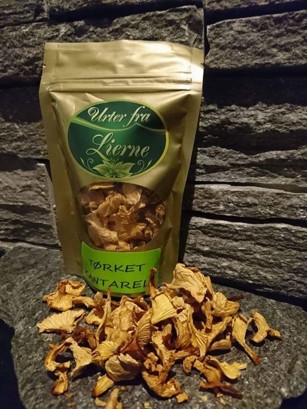 GUL KANTARELL (Cantharellus cibarius) - Bilde 1