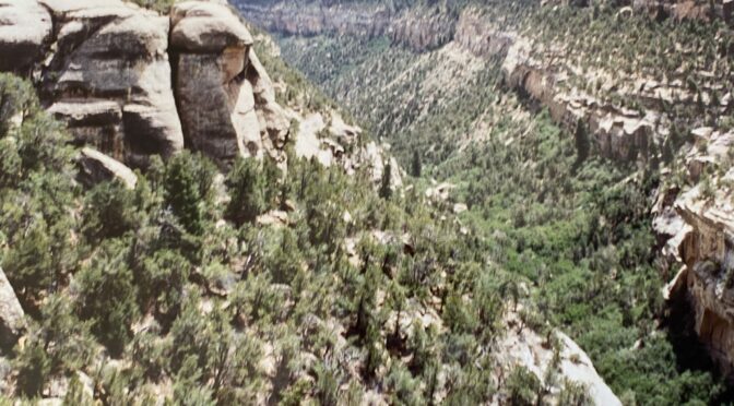 Mesa VErde