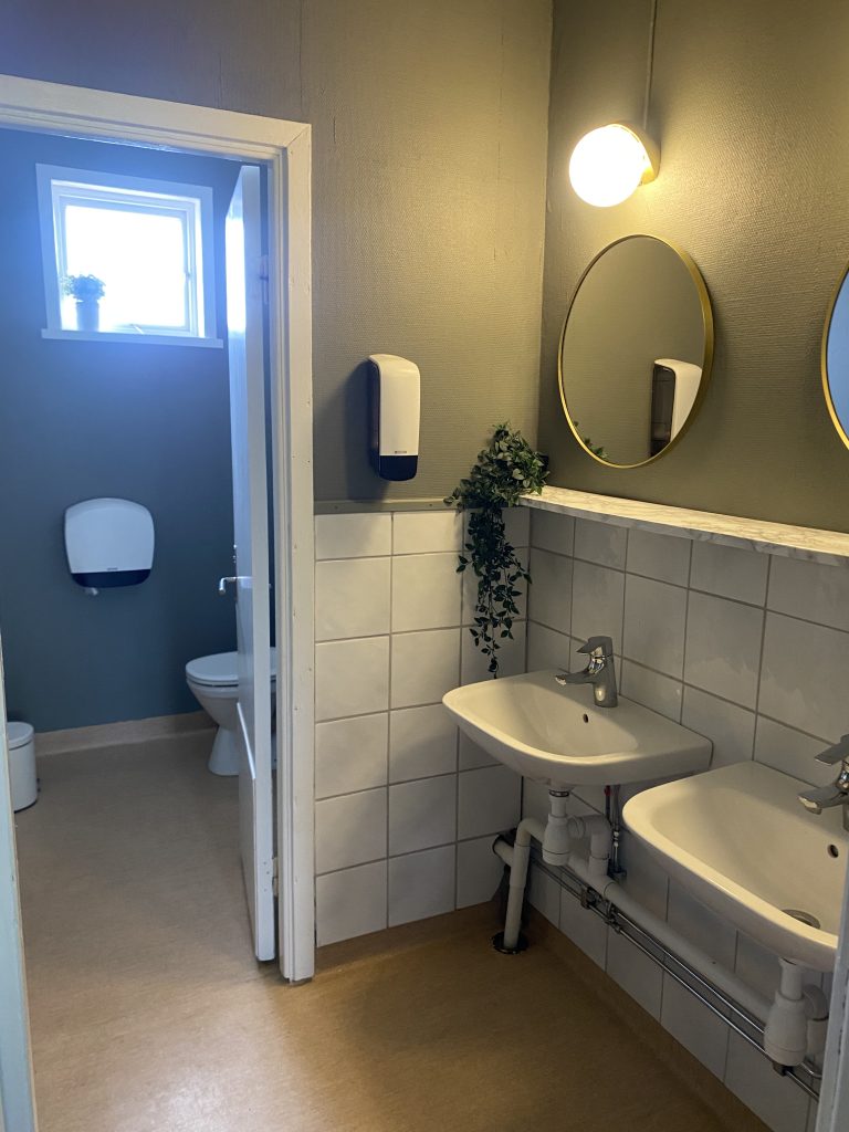 Tvättställ och WC nere