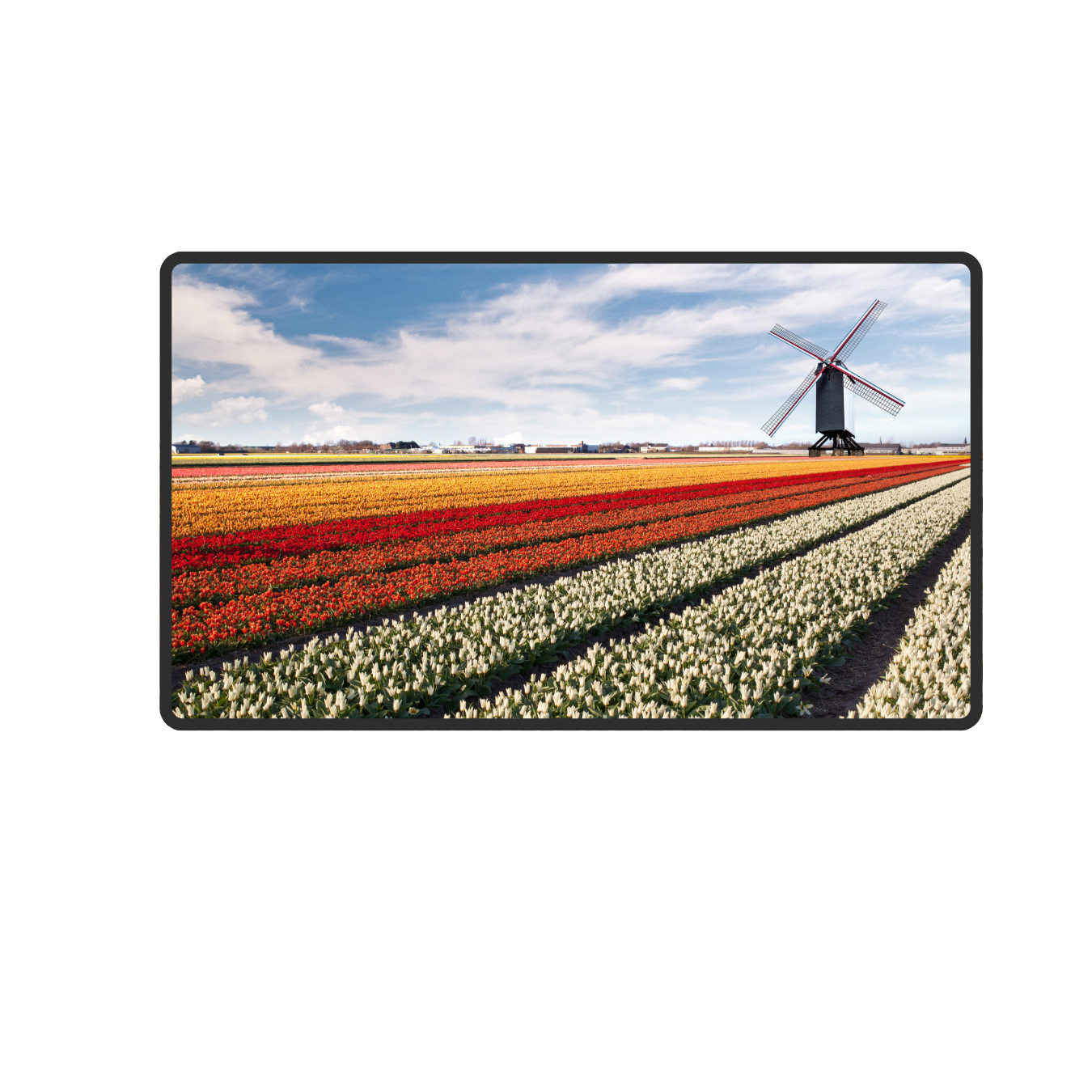 Farm and windmill