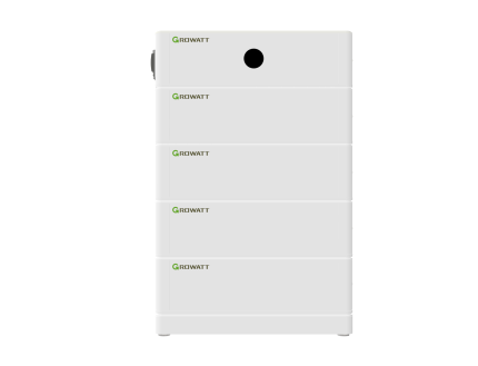 Growatt ARK-HV HVC 60050-C2 BMS