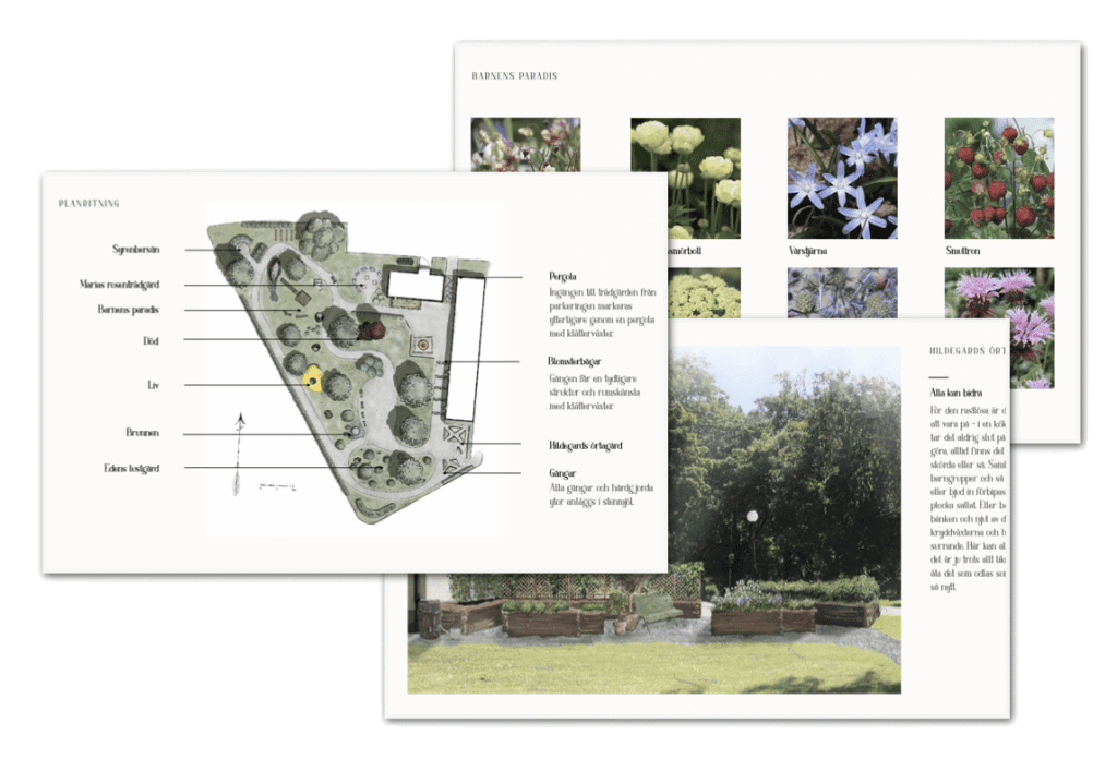 Exempel på vilket innehåll designpaketet består av. Planritning, illustrationsbild och växtporträtt