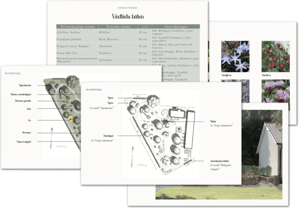 Trädgårdsdesign med planritning och växtlista