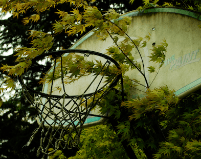 En basketkorg är ett uppskattat inslag i trädgården för såväl barn som vuxna!