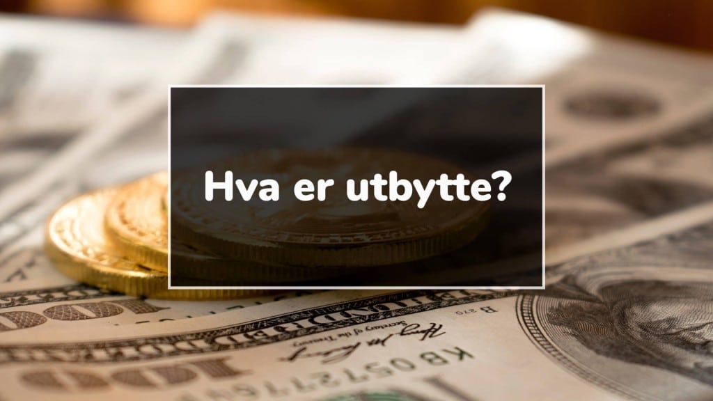 hva er utbytte