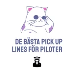 pick up lines för piloter