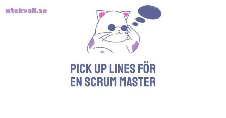 pick up lines för scrum masters