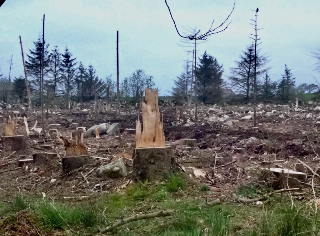 Foto: Rasert landskap, ikkje av krig, men av skogsmaskin.