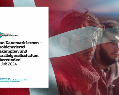 Ser til Danmark: Berlins AfD-fraksjon med nytt dokument mot parallellsamfunn