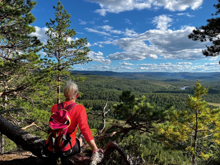 Utsjå fra Lislehei