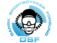 DSF logo