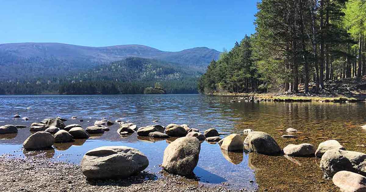 Voluntary Action In Badenoch And Strathspey logo