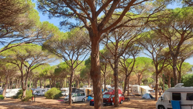 Photo of De 10 beste campings op Sardinië