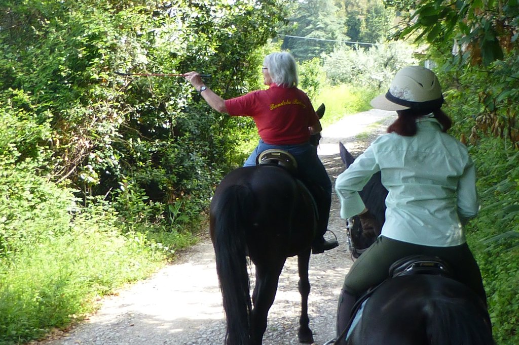 Agriturismo Rendola Riding