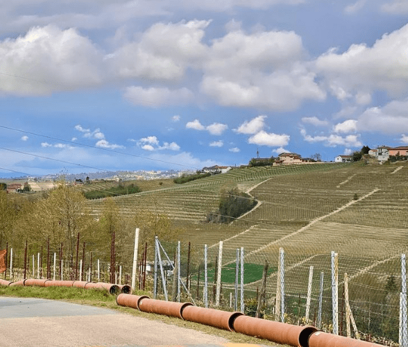 Le Langhe