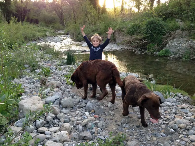 Vakantie met de hond mee naar Italië