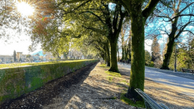 Fietsen op de stadsmuren Lucca