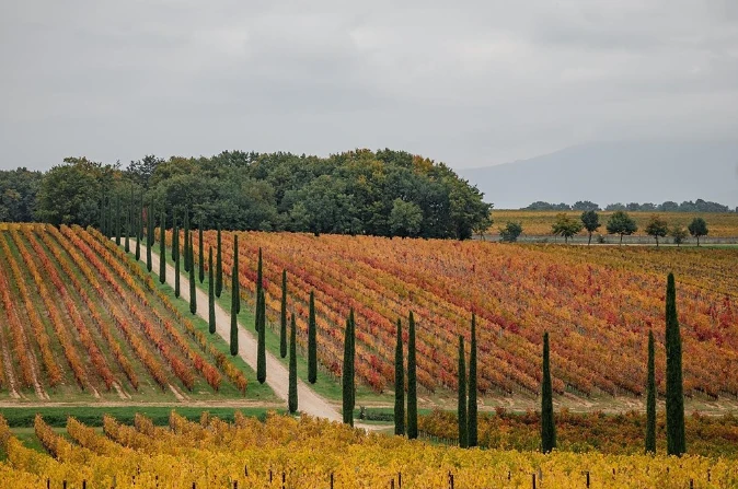 alle bezienswaardigheden in Montepulciano