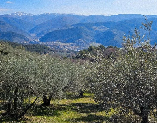 Wandelen in Le Marche