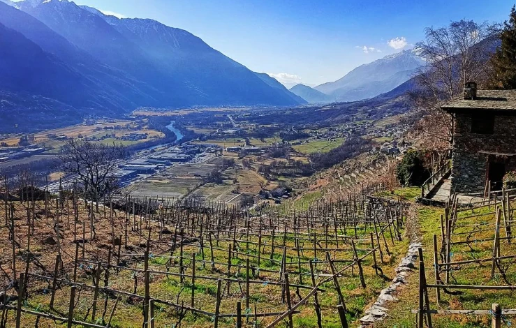 Strada del Vino wijnroute in Italië