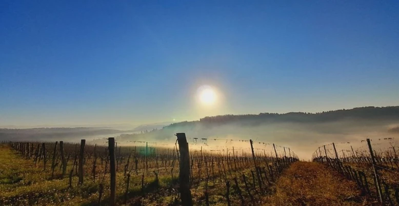 Castelfiorentino een verborgen parel in Toscane