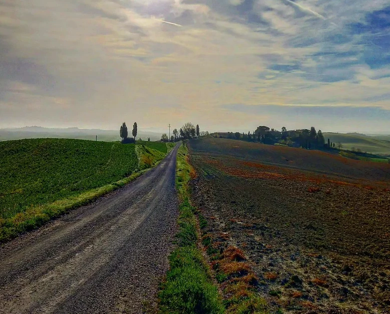 De Via Francigena: Een reis door Toscane en de Middeleeuwen