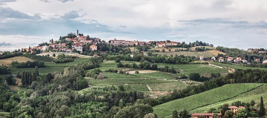 Piemonte gezien door de ogen van Eveline Dejonckheere (ConsultED)