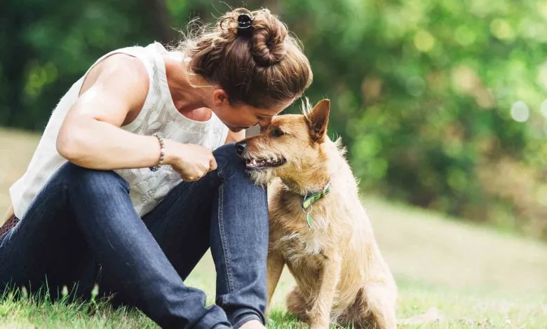 Vakantie met de hond mee naar Italië